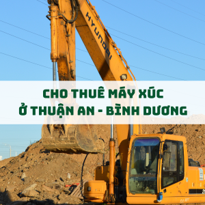 dich-vu-thue-may-xuc-tai-thuan-an-binh-duong-gia-tot-may-moc-hien-dai-ho-tro-nhanh-chong